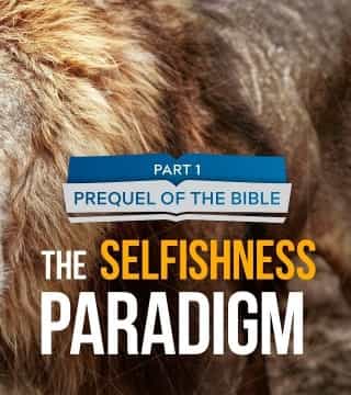 John Bradshaw - The Selfishness Paradigm