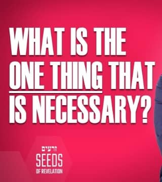 Rabbi Schneider - What Is The One Thing That Is Necessary