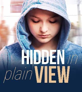 John Bradshaw - Hidden in Plain View