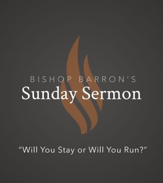 Robert Barron - Will You Stay or Will You Run?