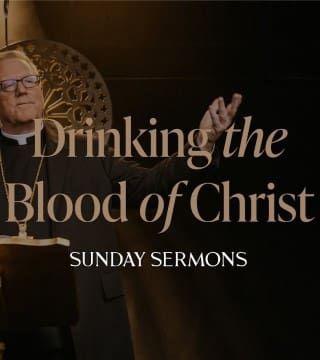 Robert Barron - Drinking the Blood of Christ