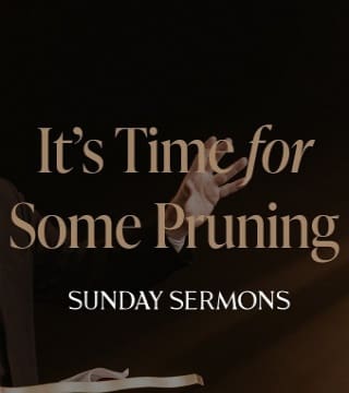 Robert Barron - It's Time for Some Pruning