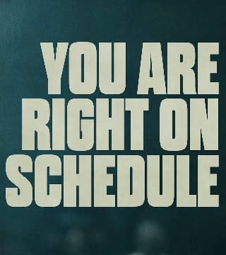 Steven Furtick - You Are Right On Schedule