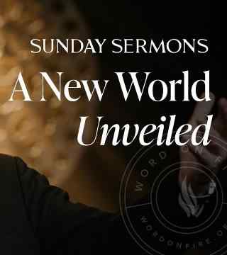 Robert Barron - A New World Unveiled