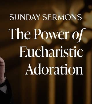 Robert Barron - The Power of Eucharistic Adoration