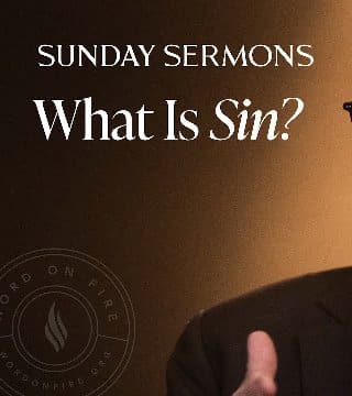 Robert Barron - What Is Sin?